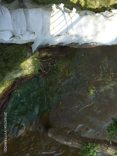 File:July 4th, 2014 04 03PM 38.JPG